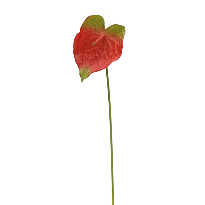 Real Touch Anthurium Stems