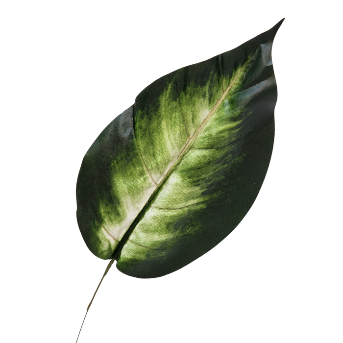 Dumb Cane Artificial Green Leaf