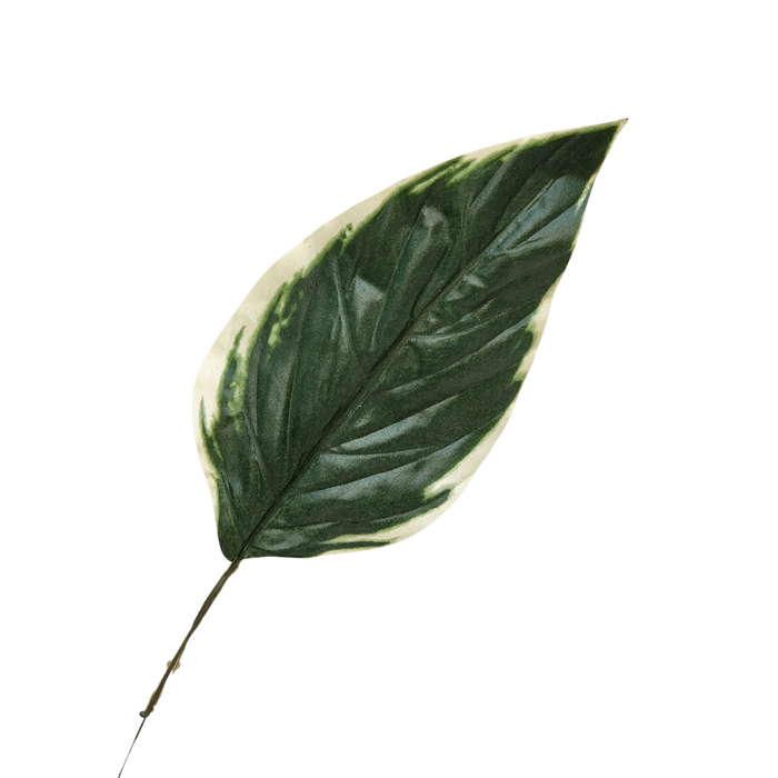 Calatheas Artificial Green Leaf