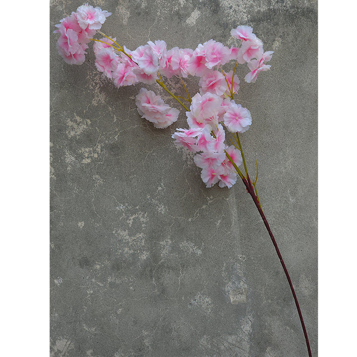 Cherry Blossom Stems