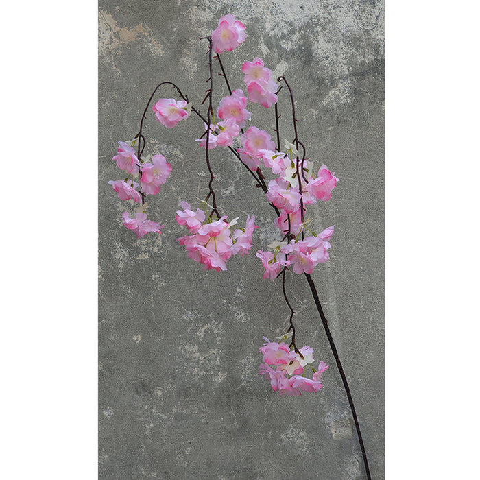Hanging Cherry Blossom Stems